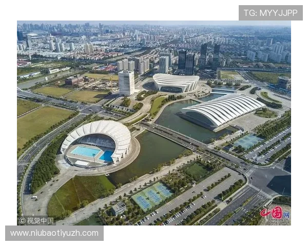 东方体育助力中国体育事业发展的创新模式与成功案例分析